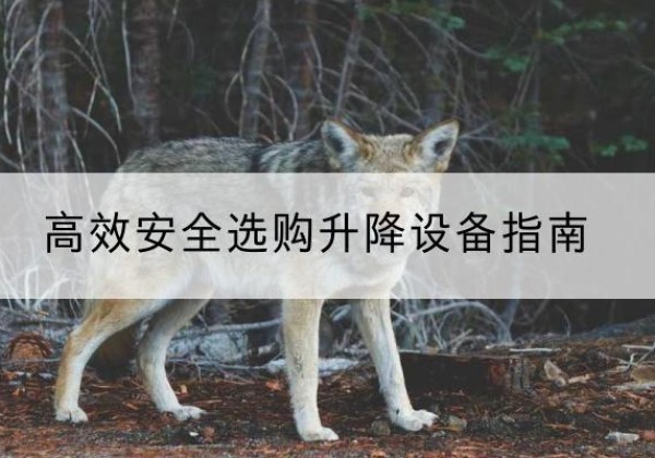 曲麻莱升降货梯厂家推荐-*安全选购升降设备指南