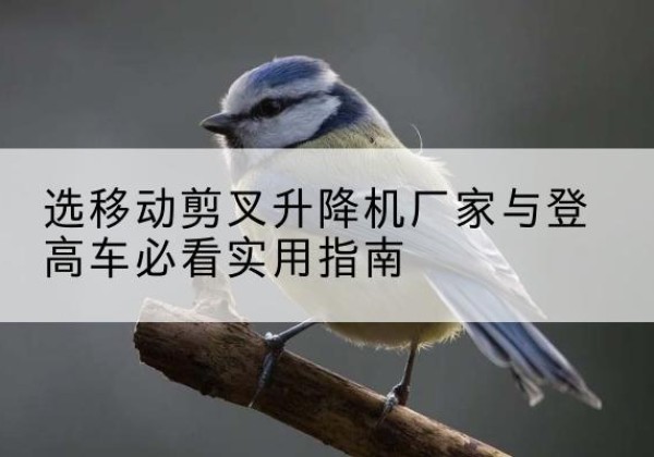 曲麻莱电动升降机厂家-选移动剪叉升降机厂家与登高车必看实用指南