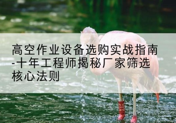 曲麻莱剪叉式升降机厂家-高空作业设备选购实战指南-十年工程师揭秘厂家筛选核心法则